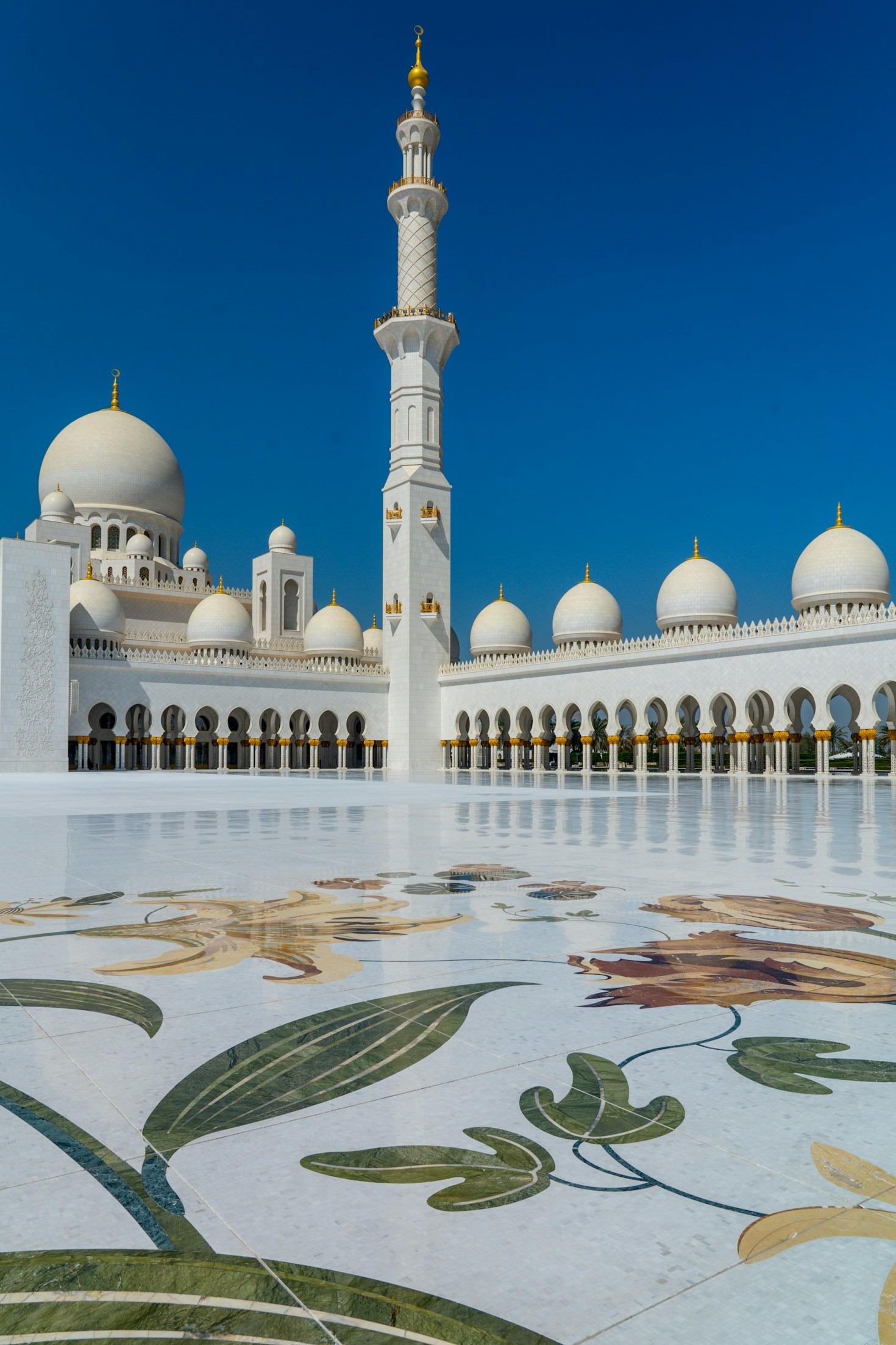 Peran Madrasah dalam Membangun Generasi Cerdas